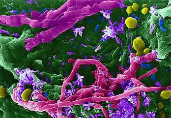 d180d0b8d181-2-untitled1