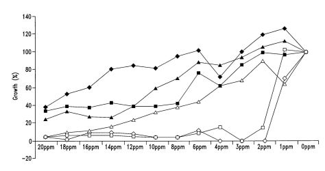 d180d0b8d181d183d0bdd0bed0ba-1-1